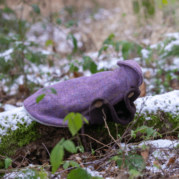 Dackelmantel liegt im Schnee lila meliert Harris Tweed