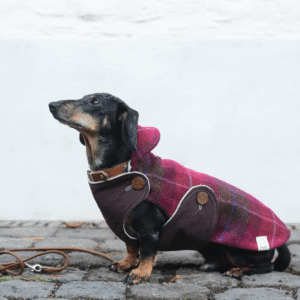 Dackelmode Mantel für Winter Dackelei